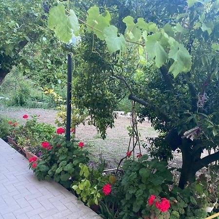 Proprieta Intero Allogio Con Parcheggio Villa Sestri Levante Eksteriør bilde